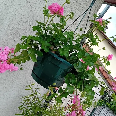 Jolie Maison Renovee Avec Espace בית נופש
